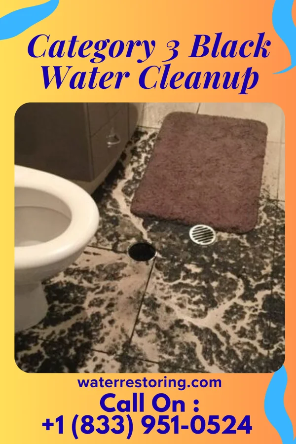 Category 3 Black Water Cleanup in Eagles Mere, PA