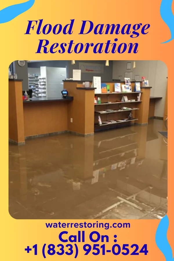 Flood Damage Restoration in Eagles Mere, PA