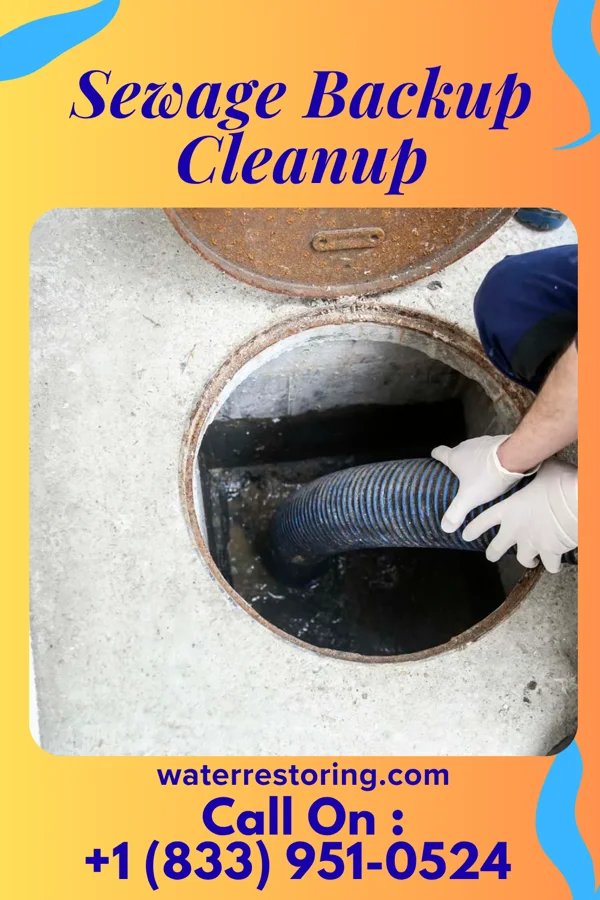 Sewage Backup Cleanup in Eagles Mere, PA