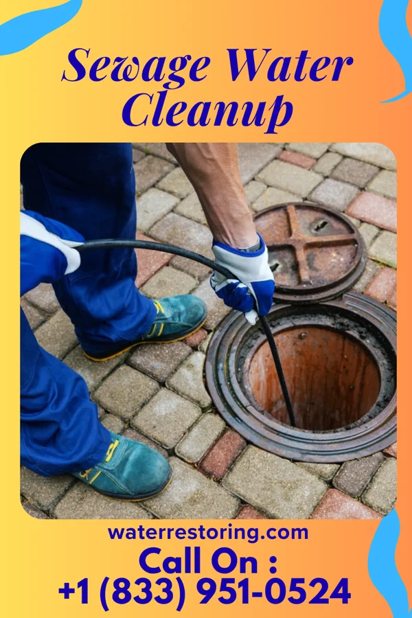Sewage Water Cleanup in Eagles Mere, PA