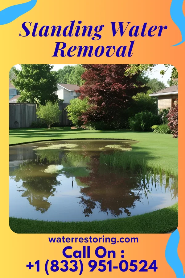 Standing Water Removal in Eagles Mere, PA